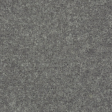 All Star Weekend Ii 15' Residential Carpet by Shaw Floors in the color Ink Spot. Sample of grays carpet pattern and texture.