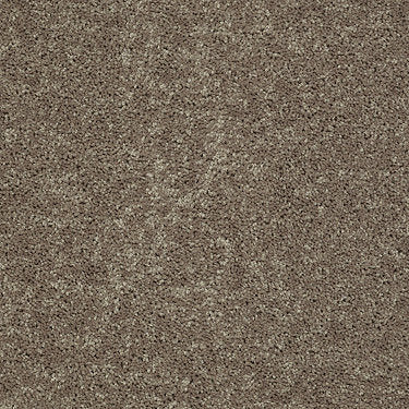 All Star Weekend Ii 15' Residential Carpet by Shaw Floors in the color Hearth Stone. Sample of browns carpet pattern and texture.