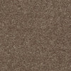 All Star Weekend Ii 15' Residential Carpet by Shaw Floors in the color Granola. Sample of browns carpet pattern and texture.