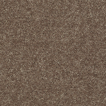All Star Weekend Ii 15' Residential Carpet by Shaw Floors in the color Granola. Sample of browns carpet pattern and texture.