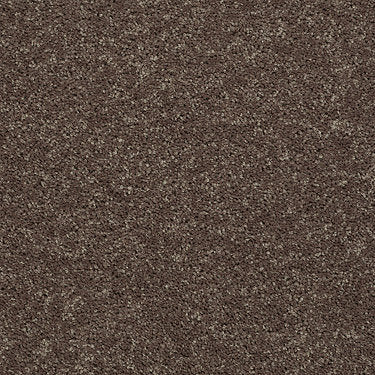 All Star Weekend Ii 15' Residential Carpet by Shaw Floors in the color Cattail. Sample of browns carpet pattern and texture.
