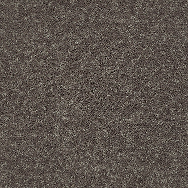All Star Weekend Ii 15' Residential Carpet by Shaw Floors in the color Driftwood. Sample of browns carpet pattern and texture.