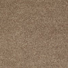 All Star Weekend Ii 15' Residential Carpet by Shaw Floors in the color Taffy. Sample of browns carpet pattern and texture.