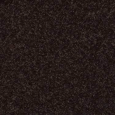 All Star Weekend Ii 15' Residential Carpet by Shaw Floors in the color Coffee Bean. Sample of browns carpet pattern and texture.