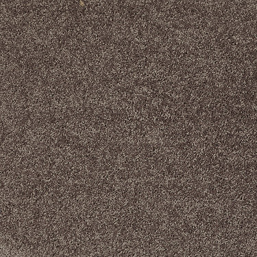 All Star Weekend Ii 15' Residential Carpet by Shaw Floors in the color Molasses. Sample of browns carpet pattern and texture.