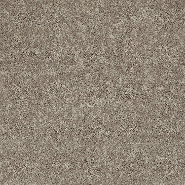 All Star Weekend Ii 15' Residential Carpet by Shaw Floors in the color River Slate. Sample of browns carpet pattern and texture.