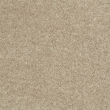 All Star Weekend I 12' Residential Carpet by Shaw Floors in the color Flax Seed. Sample of beiges carpet pattern and texture.