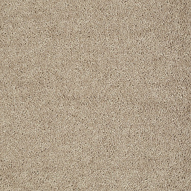 All Star Weekend I 12' Residential Carpet by Shaw Floors in the color Tassel. Sample of beiges carpet pattern and texture.