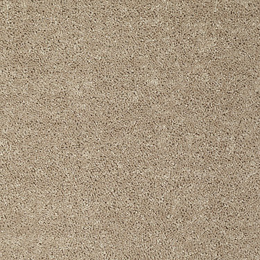 All Star Weekend I 12' Residential Carpet by Shaw Floors in the color Honeycomb. Sample of golds carpet pattern and texture.