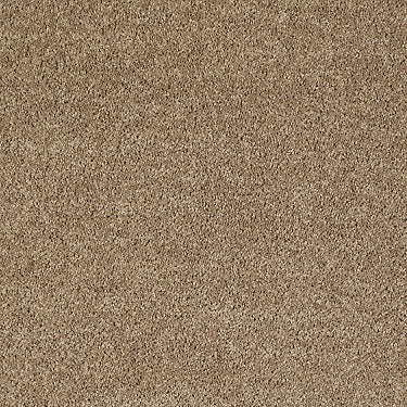All Star Weekend I 12' Residential Carpet by Shaw Floors in the color Golden Echoes. Sample of golds carpet pattern and texture.