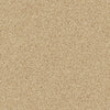 All Star Weekend I 12' Residential Carpet by Shaw Floors in the color Sun Beam. Sample of golds carpet pattern and texture.