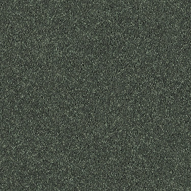 All Star Weekend I 12' Residential Carpet by Shaw Floors in the color Going Green. Sample of greens carpet pattern and texture.