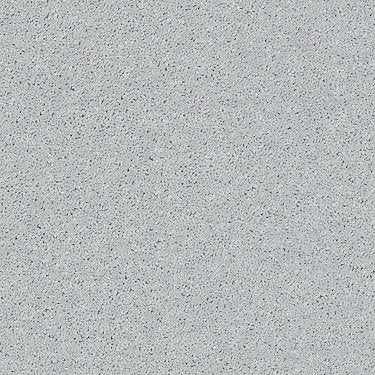 All Star Weekend I 12' Residential Carpet by Shaw Floors in the color Dove. Sample of grays carpet pattern and texture.