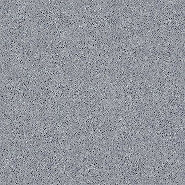 All Star Weekend I 12' Residential Carpet by Shaw Floors in the color Dolphin. Sample of grays carpet pattern and texture.