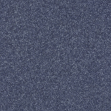 All Star Weekend I 12' Residential Carpet by Shaw Floors in the color Steel. Sample of grays carpet pattern and texture.