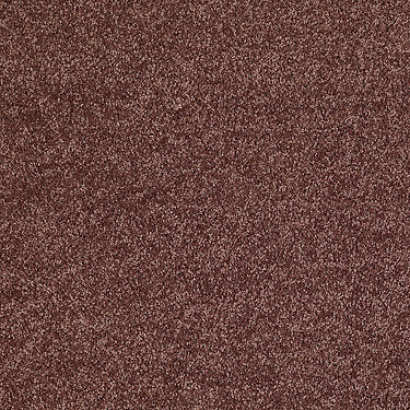 All Star Weekend I 12' Residential Carpet by Shaw Floors in the color Flower Pot. Sample of oranges carpet pattern and texture.
