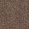 All Star Weekend I 12' Residential Carpet by Shaw Floors in the color Cattail. Sample of browns carpet pattern and texture.