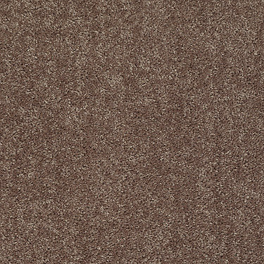 All Star Weekend I 12' Residential Carpet by Shaw Floors in the color Cattail. Sample of browns carpet pattern and texture.