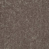 All Star Weekend I 12' Residential Carpet by Shaw Floors in the color Driftwood. Sample of browns carpet pattern and texture.