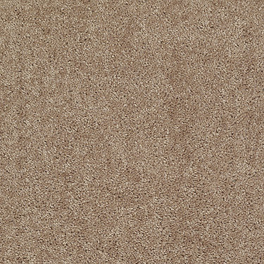 All Star Weekend I 12' Residential Carpet by Shaw Floors in the color Taffy. Sample of browns carpet pattern and texture.