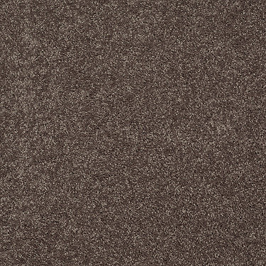 All Star Weekend I 12' Residential Carpet by Shaw Floors in the color Molasses. Sample of browns carpet pattern and texture.