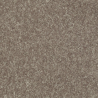 All Star Weekend I 12' Residential Carpet by Shaw Floors in the color River Slate. Sample of browns carpet pattern and texture.