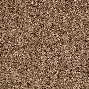 All Star Weekend I 12' Residential Carpet by Shaw Floors in the color Desert Sunrise. Sample of browns carpet pattern and texture.