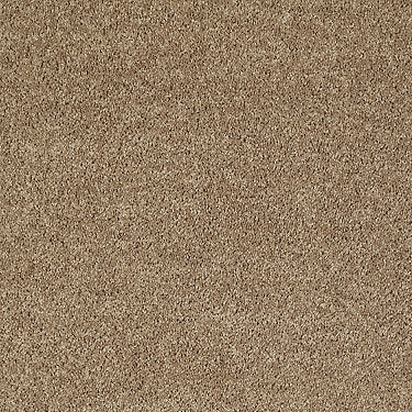 All Star Weekend Iii 12' Residential Carpet by Shaw Floors in the color Golden Echoes. Sample of golds carpet pattern and texture.