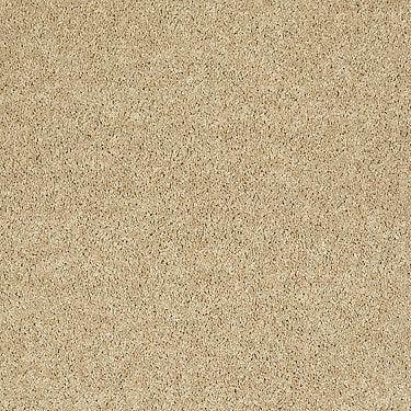 All Star Weekend Iii 12' Residential Carpet by Shaw Floors in the color Crumpet. Sample of golds carpet pattern and texture.