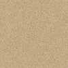 All Star Weekend Iii 12' Residential Carpet by Shaw Floors in the color Sun Beam. Sample of golds carpet pattern and texture.