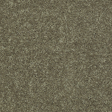 All Star Weekend Iii 12' Residential Carpet by Shaw Floors in the color Aloe. Sample of greens carpet pattern and texture.