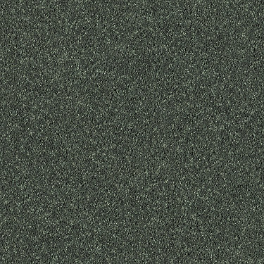 All Star Weekend Iii 12' Residential Carpet by Shaw Floors in the color Going Green. Sample of greens carpet pattern and texture.