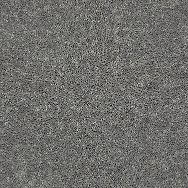 All Star Weekend Iii 12' Residential Carpet by Shaw Floors in the color Ink Spot. Sample of grays carpet pattern and texture.