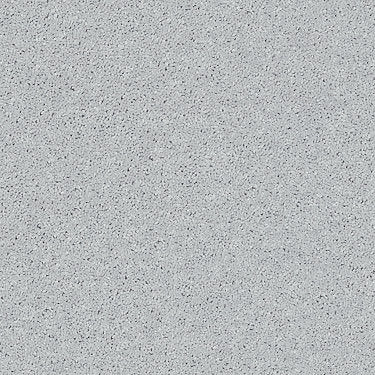 All Star Weekend Iii 12' Residential Carpet by Shaw Floors in the color Dove. Sample of grays carpet pattern and texture.