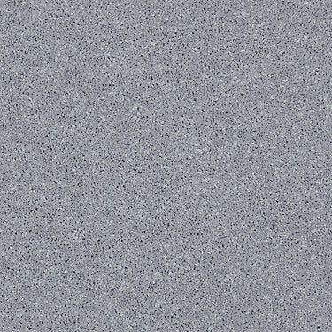 All Star Weekend Iii 12' Residential Carpet by Shaw Floors in the color Dolphin. Sample of grays carpet pattern and texture.