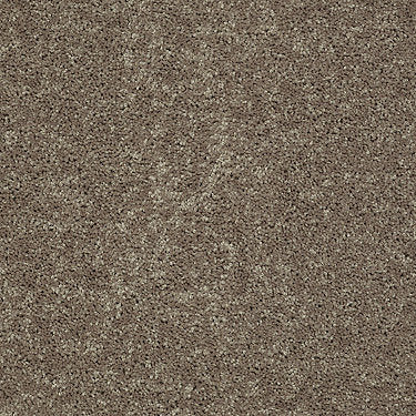 All Star Weekend Iii 12' Residential Carpet by Shaw Floors in the color Hearth Stone. Sample of browns carpet pattern and texture.