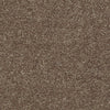 All Star Weekend Iii 12' Residential Carpet by Shaw Floors in the color Granola. Sample of browns carpet pattern and texture.