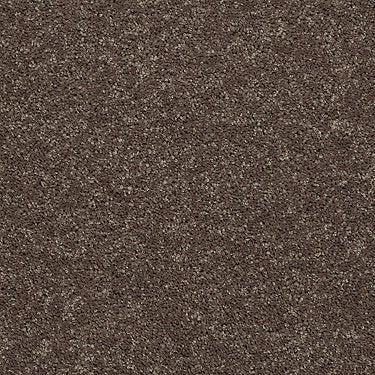 All Star Weekend Iii 12' Residential Carpet by Shaw Floors in the color Cattail. Sample of browns carpet pattern and texture.