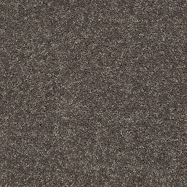 All Star Weekend Iii 12' Residential Carpet by Shaw Floors in the color Driftwood. Sample of browns carpet pattern and texture.