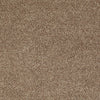 All Star Weekend Iii 12' Residential Carpet by Shaw Floors in the color Taffy. Sample of browns carpet pattern and texture.