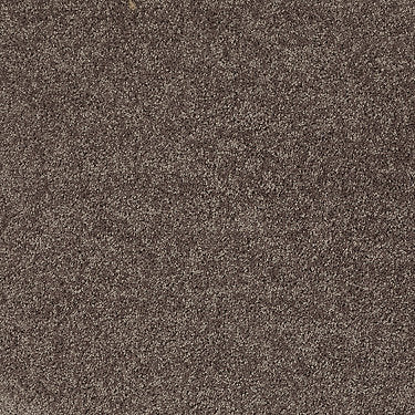 All Star Weekend Iii 12' Residential Carpet by Shaw Floors in the color Molasses. Sample of browns carpet pattern and texture.