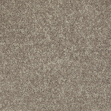 All Star Weekend Iii 12' Residential Carpet by Shaw Floors in the color River Slate. Sample of browns carpet pattern and texture.