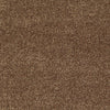 All Star Weekend Iii 12' Residential Carpet by Shaw Floors in the color Desert Sunrise. Sample of browns carpet pattern and texture.