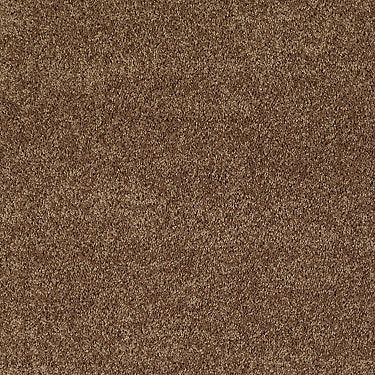 All Star Weekend Iii 12' Residential Carpet by Shaw Floors in the color Desert Sunrise. Sample of browns carpet pattern and texture.