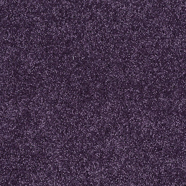 All Star Weekend Iii 12' Residential Carpet by Shaw Floors in the color Grape Slushy. Sample of violets carpet pattern and texture.