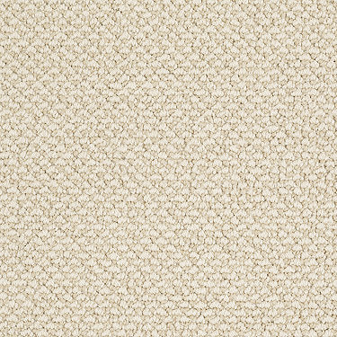 Crocheted Elegance Residential Carpet by Shaw Floors in the color Crewel Work. Sample of beiges carpet pattern and texture.