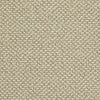 Crocheted Elegance Residential Carpet by Shaw Floors in the color Dried Moss. Sample of greens carpet pattern and texture.