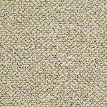 Crocheted Elegance Residential Carpet by Shaw Floors in the color Dried Moss. Sample of greens carpet pattern and texture.