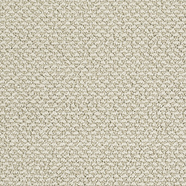 Crocheted Elegance Residential Carpet by Shaw Floors in the color Watermark. Sample of browns carpet pattern and texture.