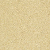 Kid Crossing Residential Carpet by Shaw Floors in the color Lemon Drop. Sample of golds carpet pattern and texture.